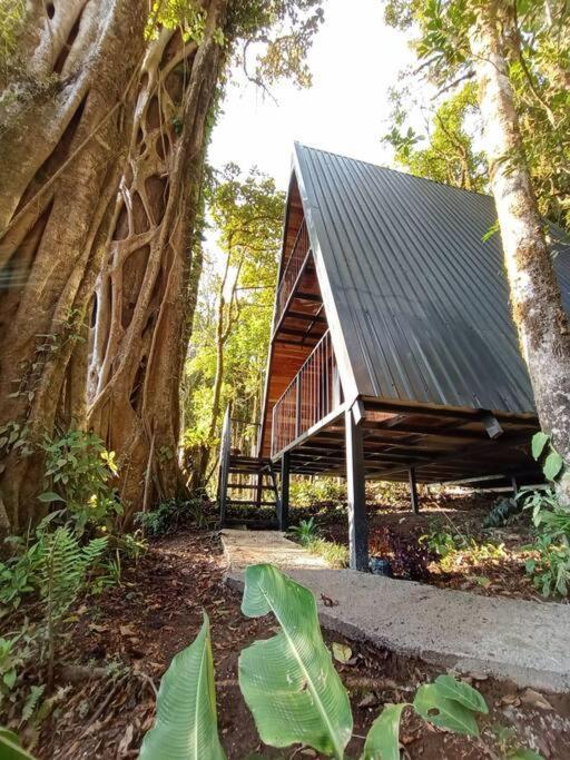 Willa Casa Del Arbol Monteverde Zewnętrze zdjęcie