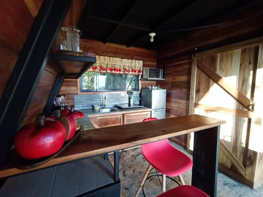 Willa Casa Del Arbol Monteverde Zewnętrze zdjęcie