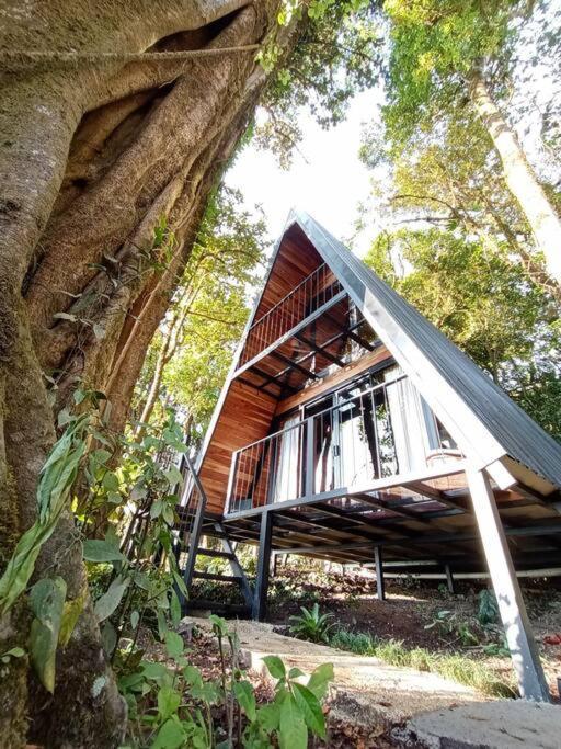 Willa Casa Del Arbol Monteverde Zewnętrze zdjęcie